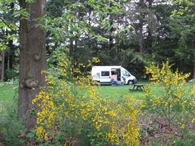 Camping Landgoed Het Zand in Zelhem