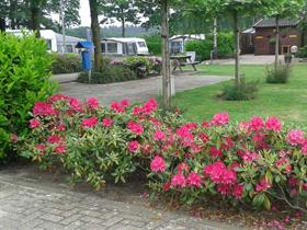 Camping De Kwikstaart in Oosterhout