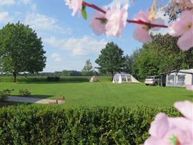 Camping Scheyvenhof in Heythuysen