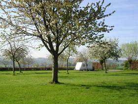 Camping Waalheimerfarm in Walem