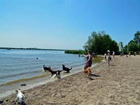 Camping Erkemederstrand in Zeewolde