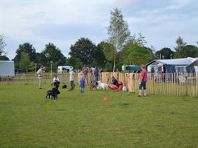 Camping Erkemederstrand in Zeewolde