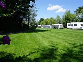 Camping Wilgenweide in Molenschot