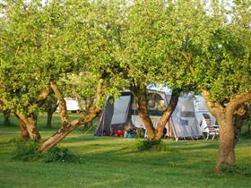 Camping De Pit in Rumpt