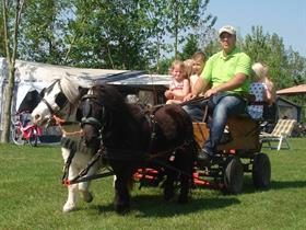 Camping Hoeve Heikant in Lage Mierde