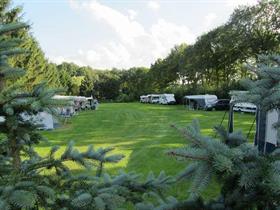 Camping Veldzicht in Haarlo