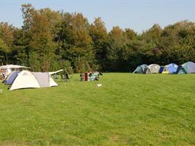 Camping De Vrijgaard in Zeewolde