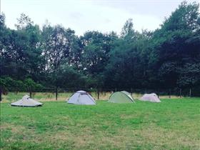 Camping De Derkjeshoeve in Nijverdal