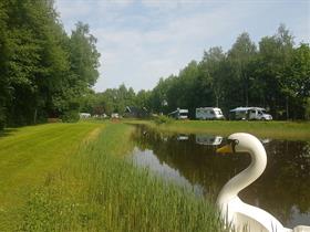 Camping 't Nije Hof in Stadskanaal