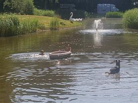 Camping 't Nije Hof in Stadskanaal