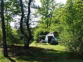 Camping Molenduin in Norg