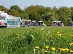 Camping Hoeve de Maasduinen in Wellerlooi