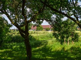 Camping De Grote Bredelaar in Elst