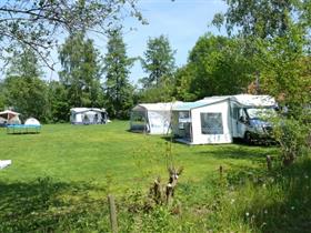 Camping 't Lankhof in Aalten