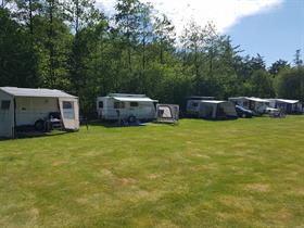 Camping De Bronzen Eik in Sellingen