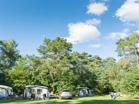 Camping Nieuw Soerel in Nunspeet