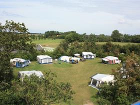 Camping De Hal in Den Burg - Texel