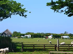 Camping De Hal in Den Burg - Texel