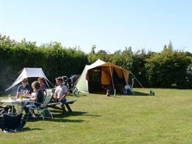 Camping De Hal in Den Burg - Texel