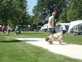 Camping De Lindehof in Gees