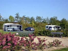 Camping De Waterjuffer in Harfsen