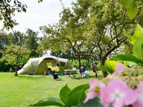 Camping De Boshoek in Serooskerke