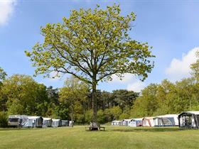 Camping 't Woutershok in Den Burg - Texel