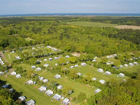 Camping 't Woutershok in Den Burg - Texel