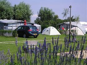 Camping De Catshoek in Nieuwvliet