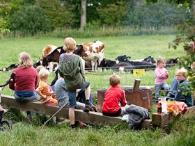 Camping Loverendale in Oostkapelle