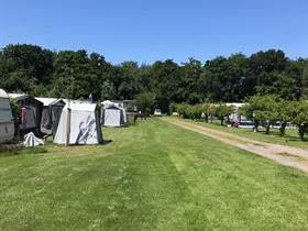 Camping De Toekomst in Renesse