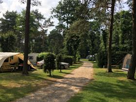 Camping De Hertenhorst in Beekbergen