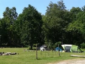 Camping De Altena in Zeewolde