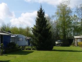 Camping Maasterras in Asselt-Roermond