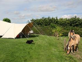 Camping Hof van Libeek in Sint Geertruid