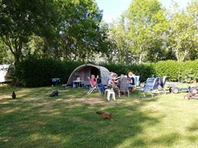 Camping De Toffe Peer in Ruinerwold