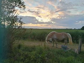 Camping De Leeuw in Uitwierde