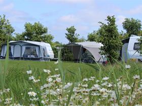 Camping Hoeve Batenburg in Ellemeet