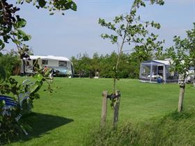 Camping Hoeve Batenburg in Ellemeet