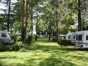 Camping Irene Hoeve in Moergestel
