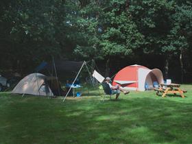 Camping De Hondsrug in Noordlaren