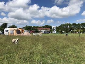 Camping Klaverblad in Middelburg