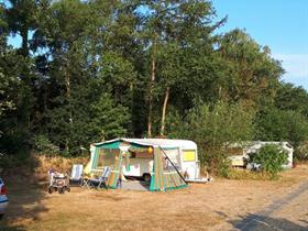 Camping De Wolboom in Aalten