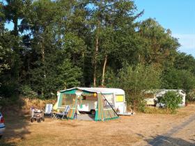 Camping De Wolboom in Aalten