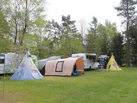 Camping De Wildhoeve in Emst-Gortel