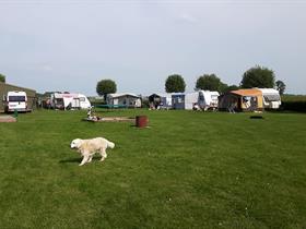 Camping De Paardeboer in Kampen