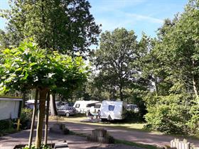 Camping Uit en Thuis in Bergen op Zoom