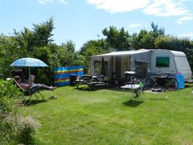 Camping Hoeve Vrij en Blij in Den Hoorn - Texel