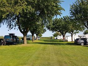 Camping La Dolce Vita in Ransdaal