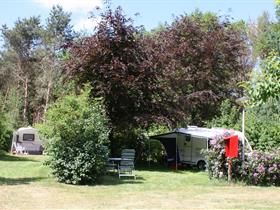 Camping De Moat in Dalfsen